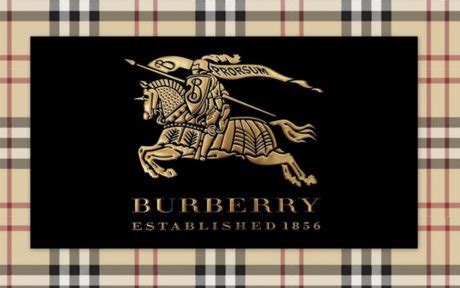 burberry brit business case|Burberry clothing company.